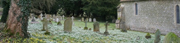 49d1de0f-e8ee-4c5e-b007-614956c01d01