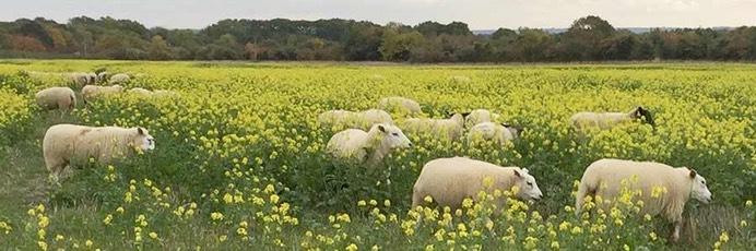 60eb1265-4aa6-4637-9693-704c870a54c5