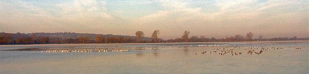 890a5d90-9b17-48bc-85d6-336bc93f40b4