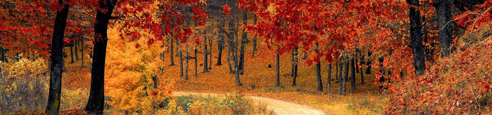 a5e511e1-c40c-4cba-a6af-5b23fdfd1f87