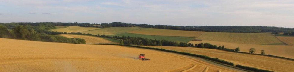 cd1c1995-6405-446d-90b1-042ea027b0be