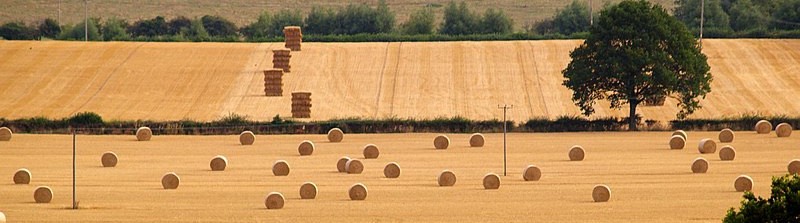 e42b259d-e3e2-44d3-bd73-e7e07f67bf72