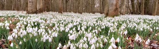 ea625474-c1f5-42d2-8dc7-d9c50b526956